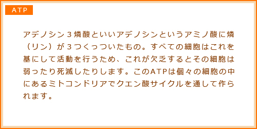 ATP