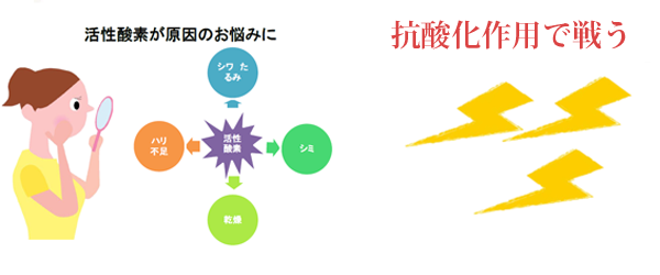 抗酸化効果