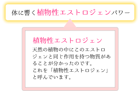 体に響く植物性エストロジェンパワー