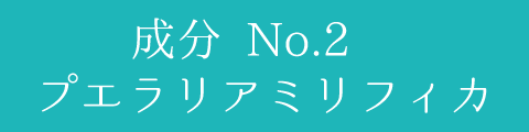 成分 No.2　プエラリアミリフィカ