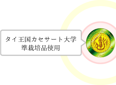 タイ王国カセサート大学準栽培品使用