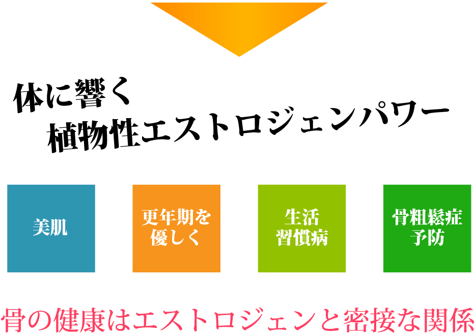 エストラジェン