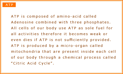 ATP