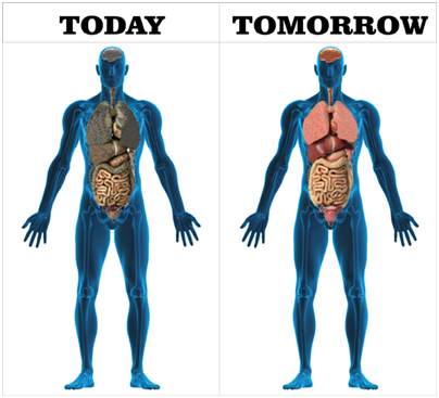 human